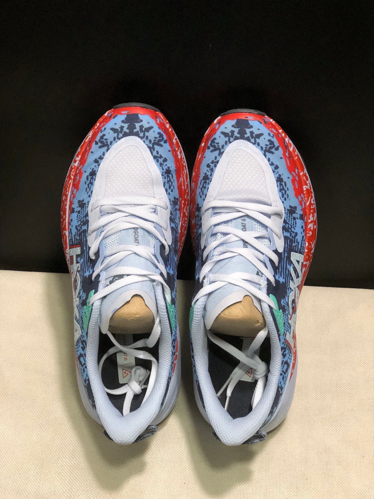 HOKA ONE ONE SPEED GOAT 6